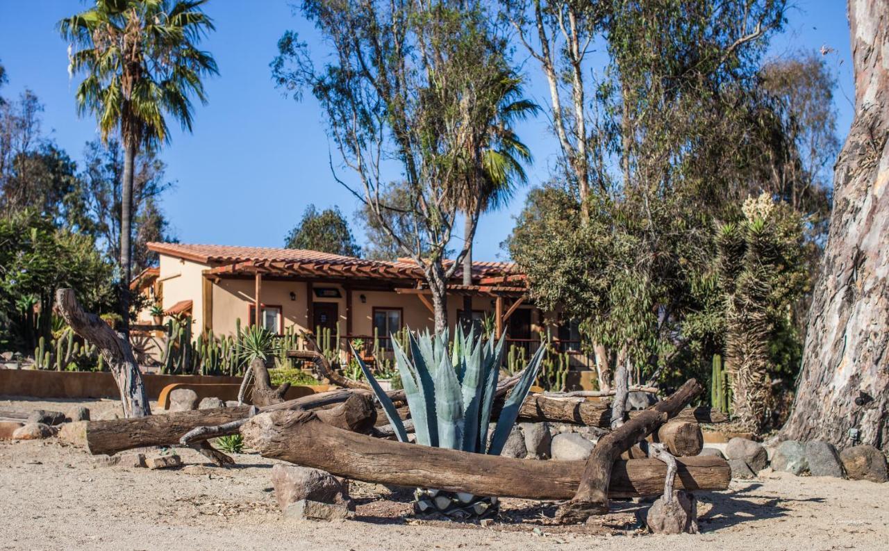 Santa Magdala Hotel Boutique Ensenada Extérieur photo